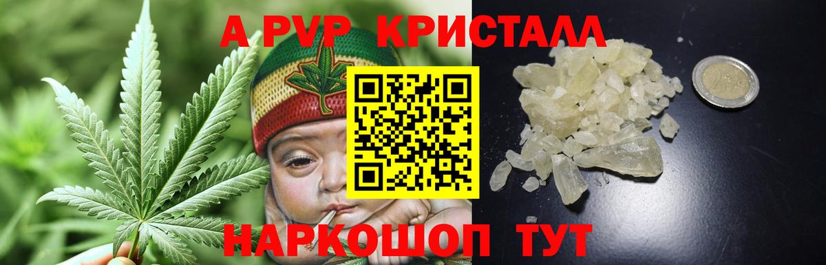 Альфа ПВП СК КРИС Красноармейск